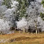 Birkenhof Διαμέρισμα *