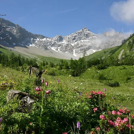 Birkenhof Apartament *
