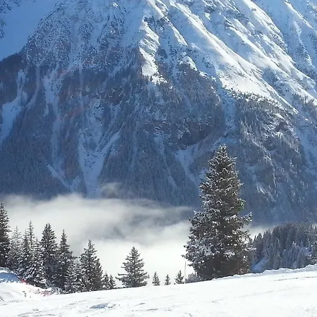 Apartament Birkenhof