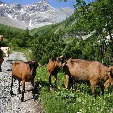 Birkenhof * Brand (Vorarlberg)